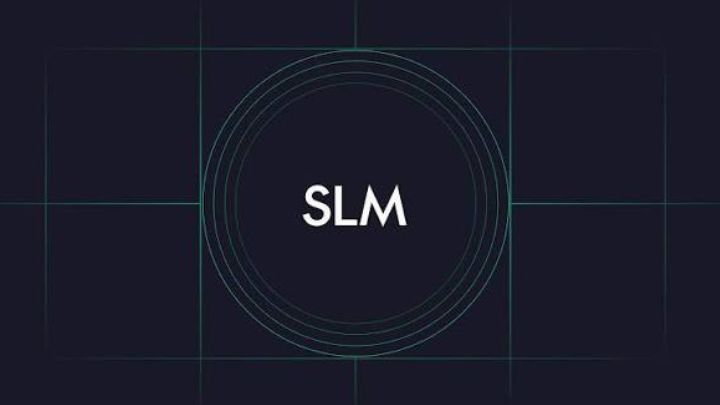 مزایای مدل‌های Small Language Model